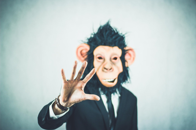 Managing Director portrait