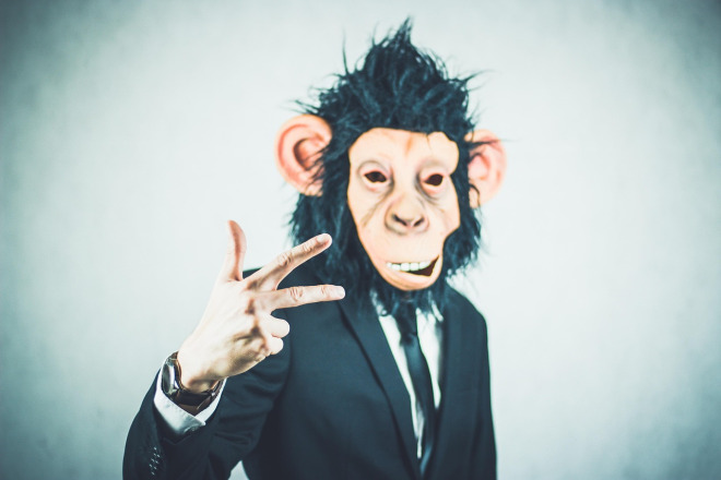 Senior Lettings Negotiator portrait
